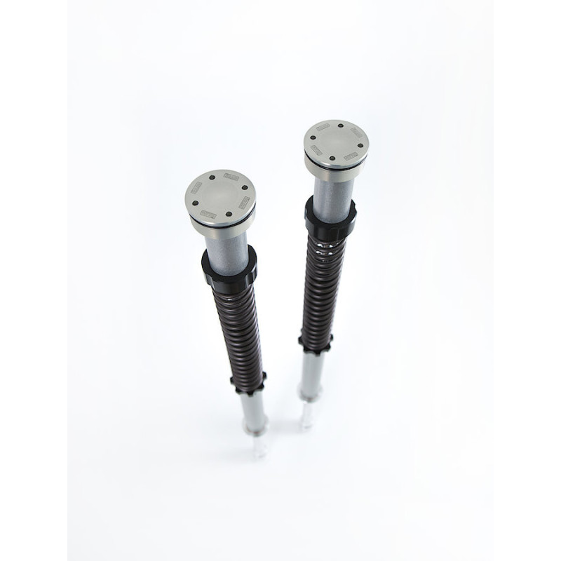 Öhlins Cartucho de horquilla NIX25 Harley-Davidson FLH/FLT (horquilla Showa) 2014-2016