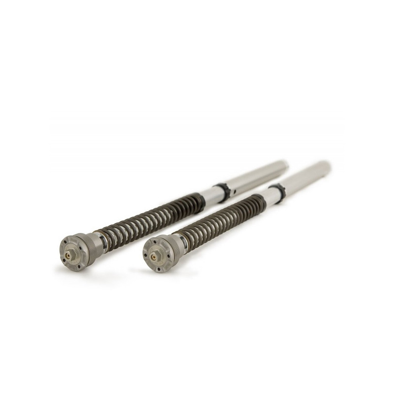 Öhlins Cartucho de horquilla NIX30 BMW S 1000 RR 2019-25 / M 1000 RR 2021-26