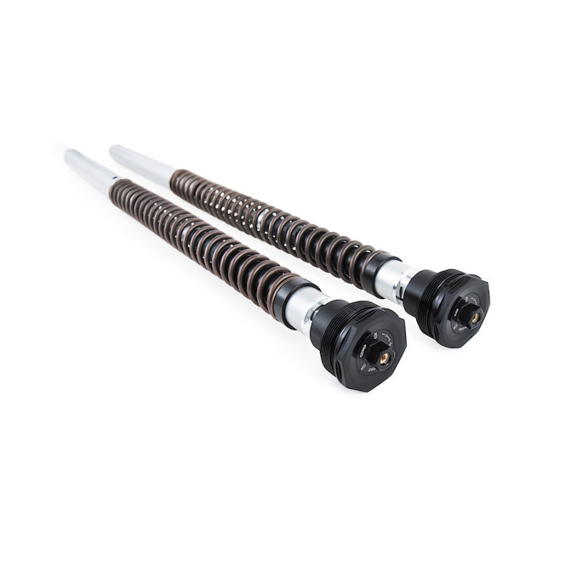 Öhlins Cartucho de horquilla NIX30 Honda CB750 Hornet (Showa) 2025-