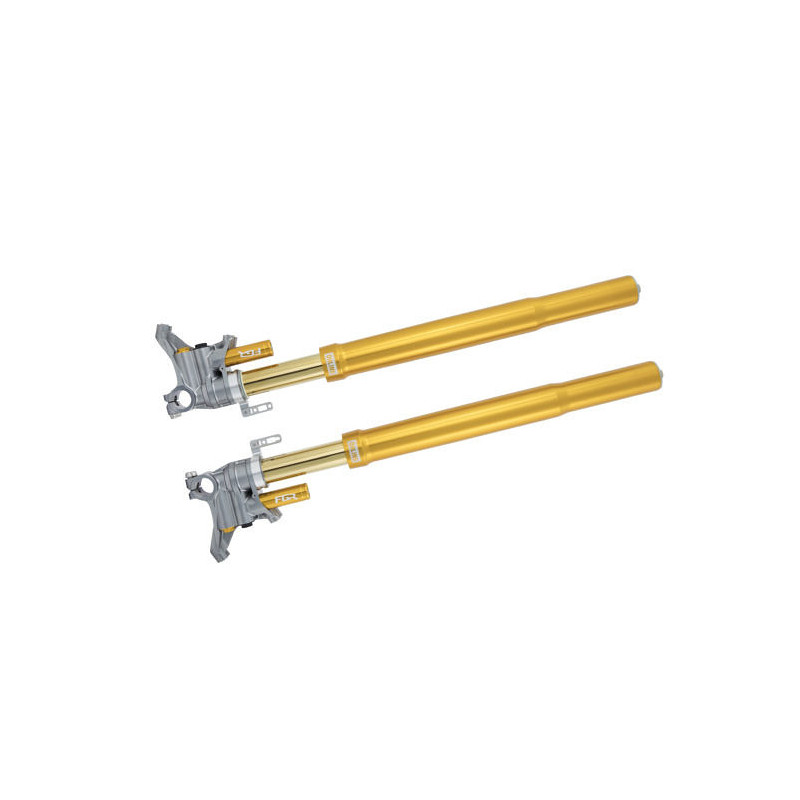 Öhlins Horquilla FGR300 Horquilla 43 FGR 300 Superbike 750mm